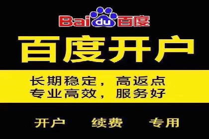 SEM托管服务成功案例：见证品牌成长